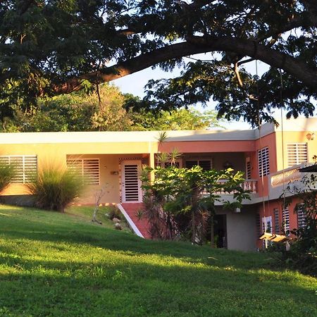 ויסקז Isla Hermosa Guesthouse מראה חיצוני תמונה